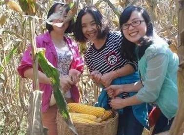 2.掰玉米人員25名，要求至少1年工作經(jīng)驗，手腕有勁手指靈活，拉呱時候能不耽誤干活，皮糙肉厚者優(yōu)先：